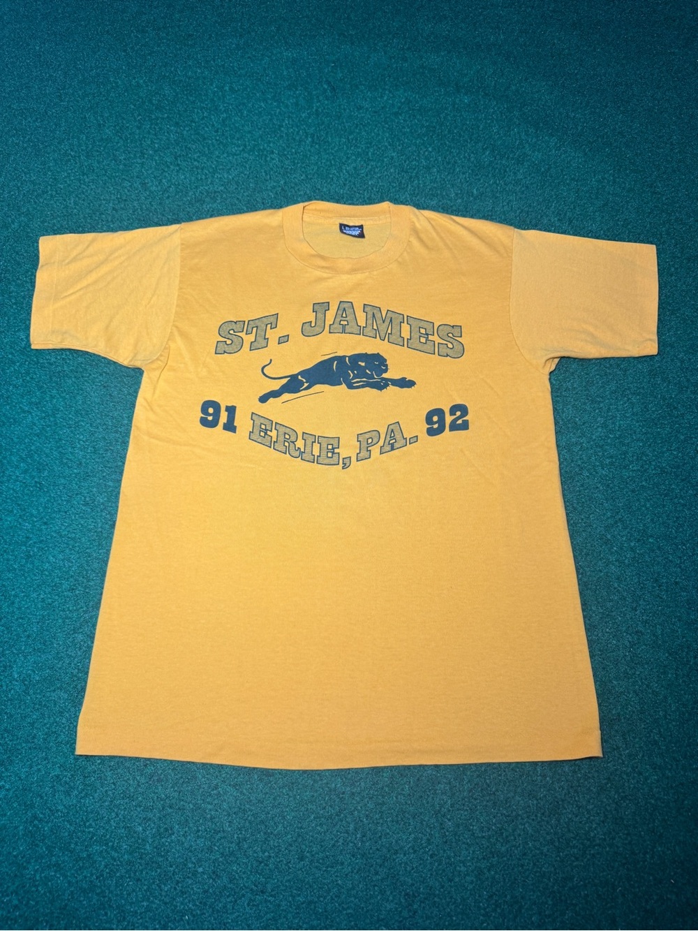 Saint James Vintage T Shirt 80s 90s Erie Pa Panthers M/L 20x28 St James